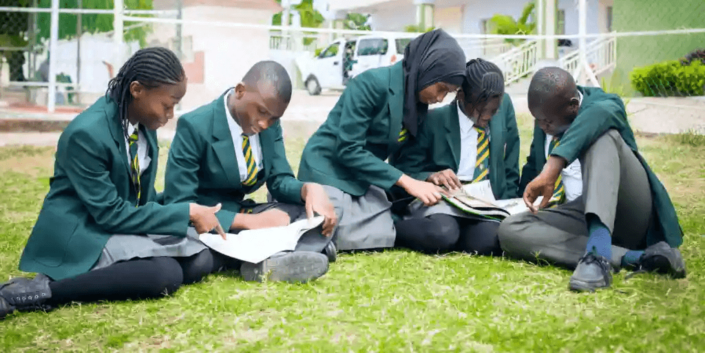 Richland Academy background